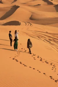 translator-qxo7cenpwqc83ufcpmu9rq5dcgekjyexp723s1rgl4